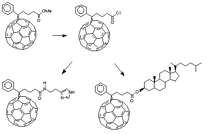 Wudl Molecule