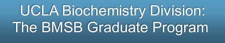 UCLA Biochemistry Division: The BMSB Graduate Program - How To Apply