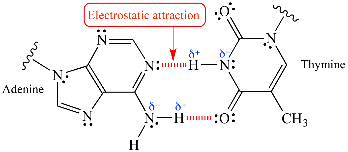 magnitude-of-electrostatic-forces-youtube