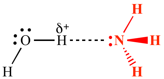 illustrated-glossary-of-organic-chemistry-hydrogen-bond-acceptor