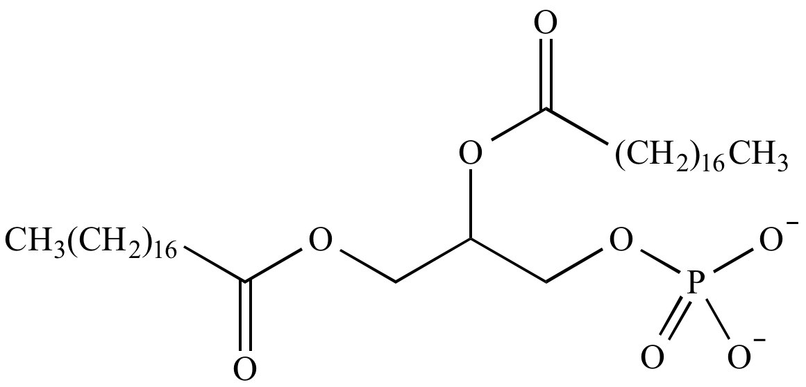 Illustrated Glossary Of Organic Chemistry Phospholipid 2759