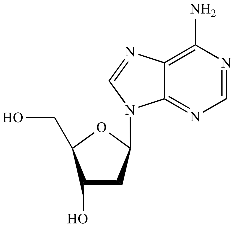 Illustrated Glossary Of Organic Chemistry Purine