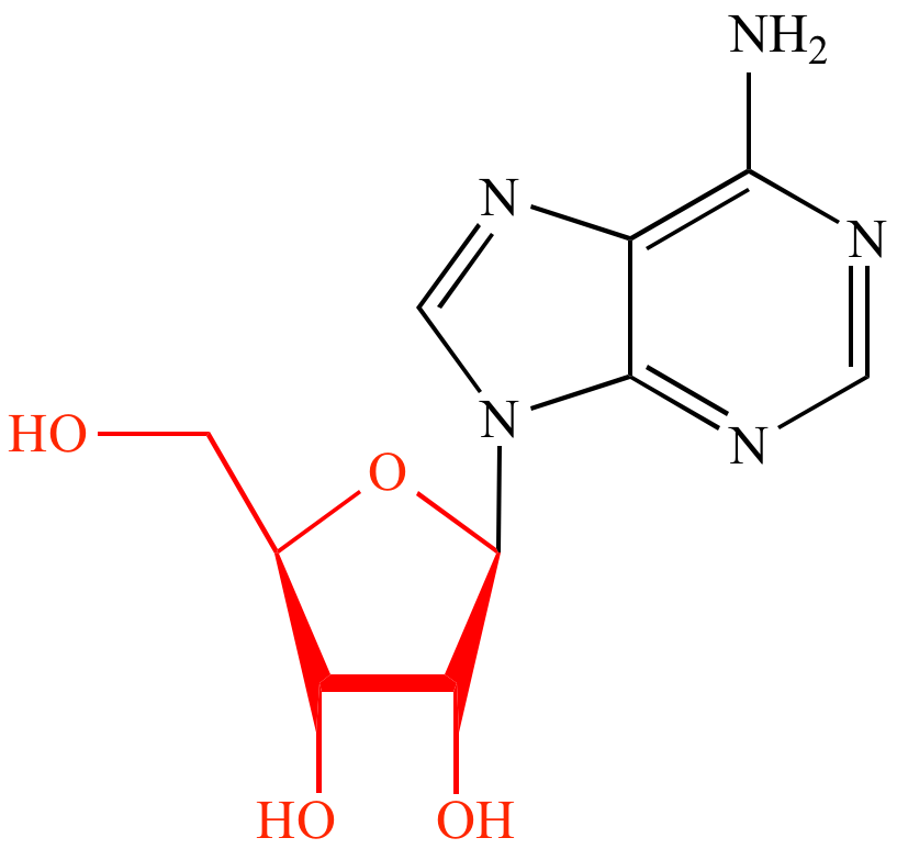 Illustrated Glossary Of Organic Chemistry Ribofuranose