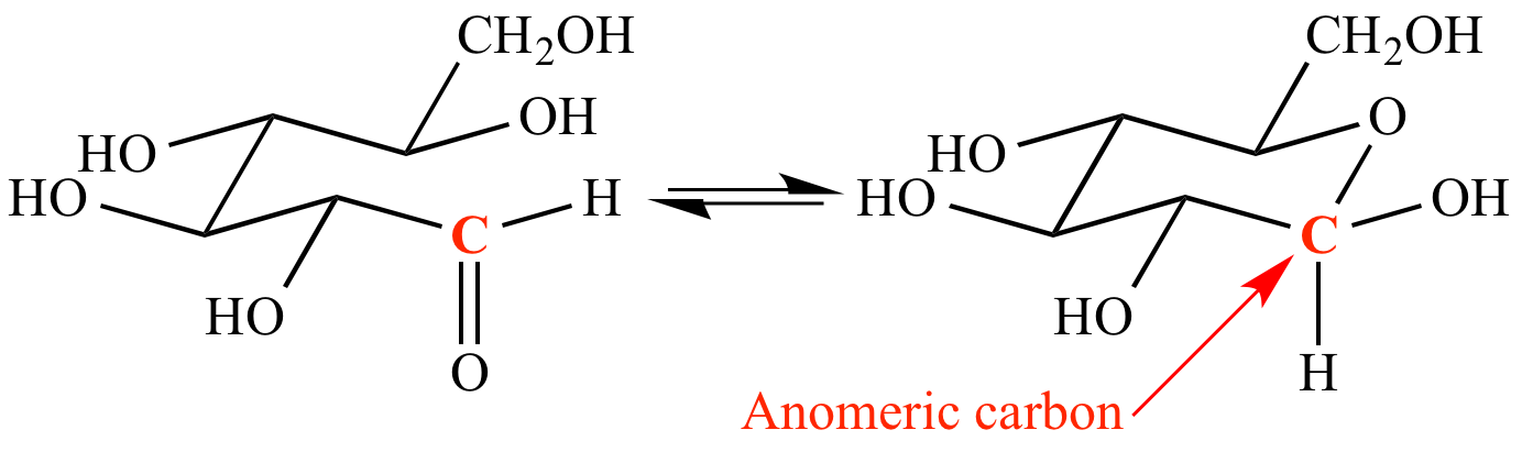 anomeric carbon definition